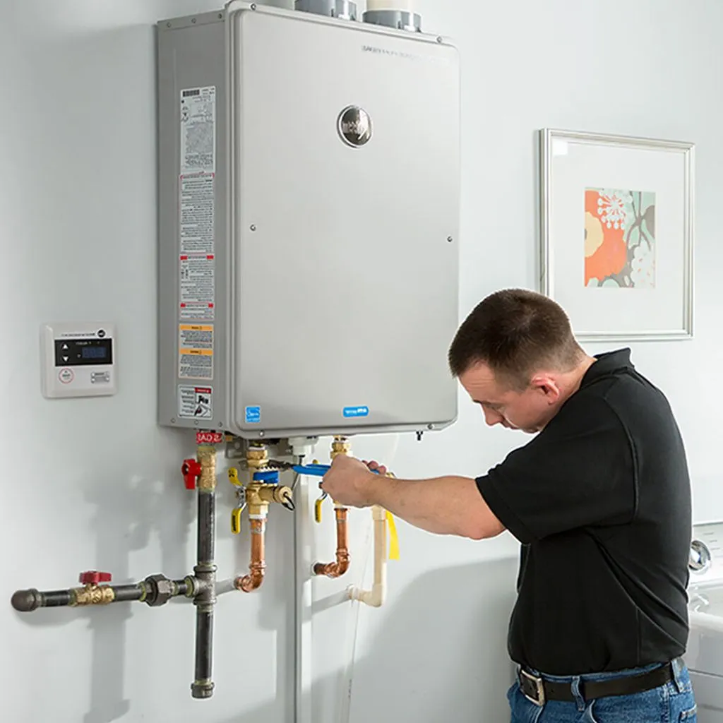 tankless water heater repair in Westphalia, MI